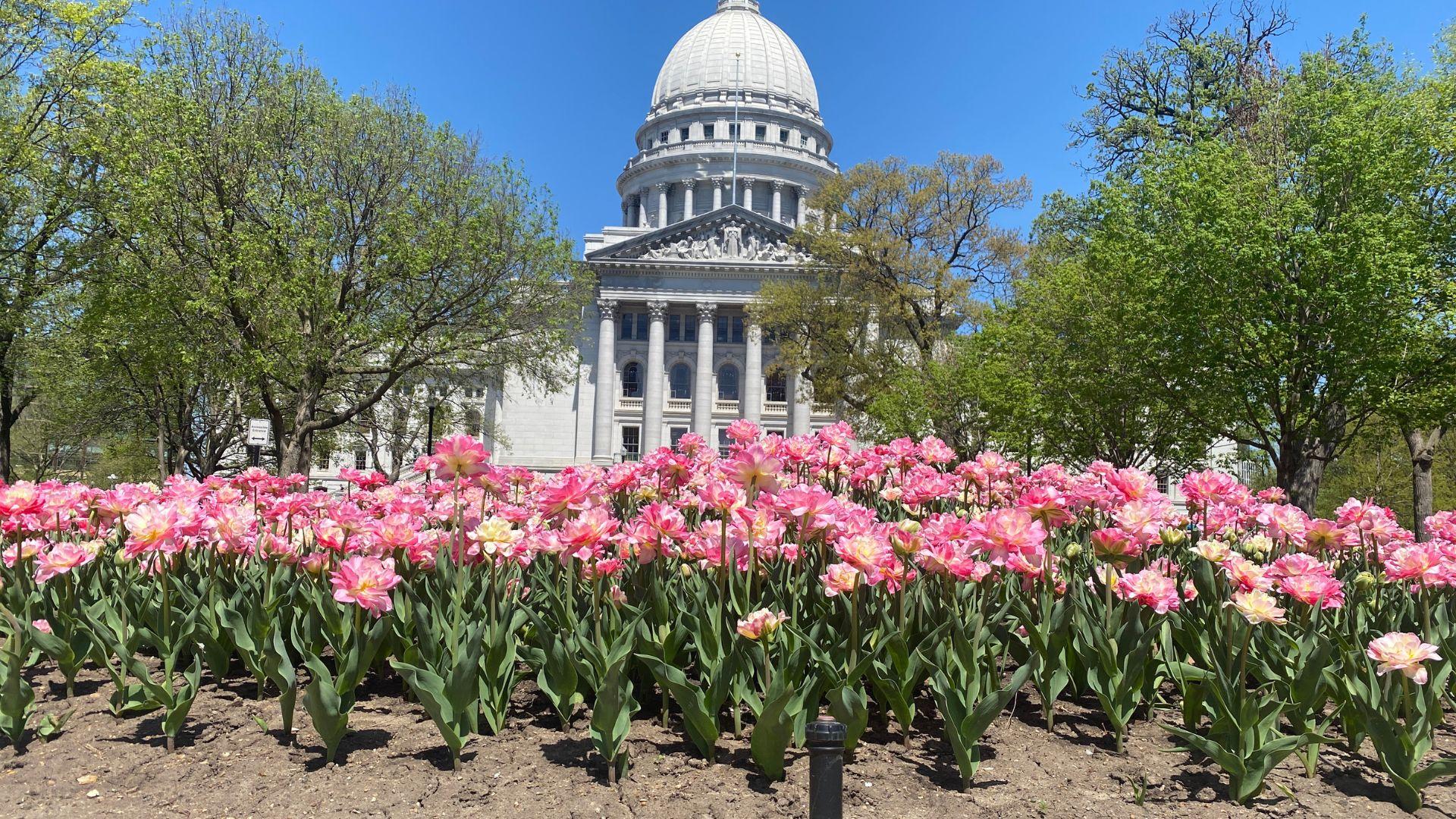 WisDems launch campaign to attack Republicans looking for impeachment