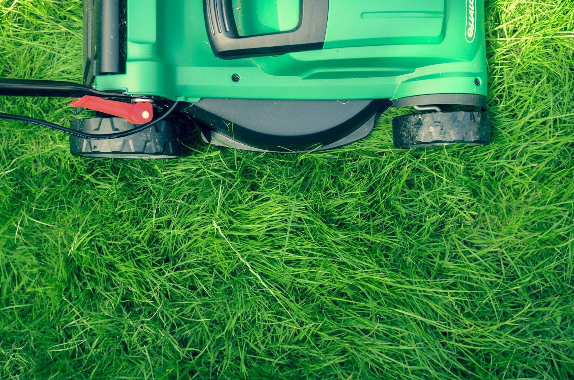 No Mow May takes root in Wisconsin as cities promote pollinator-friendly lawns