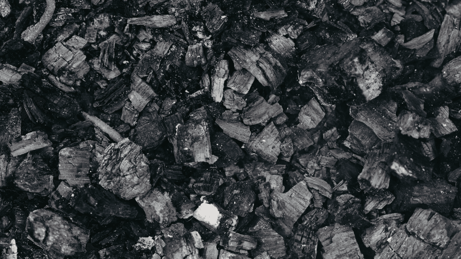 Coal Piles Deadline Extended