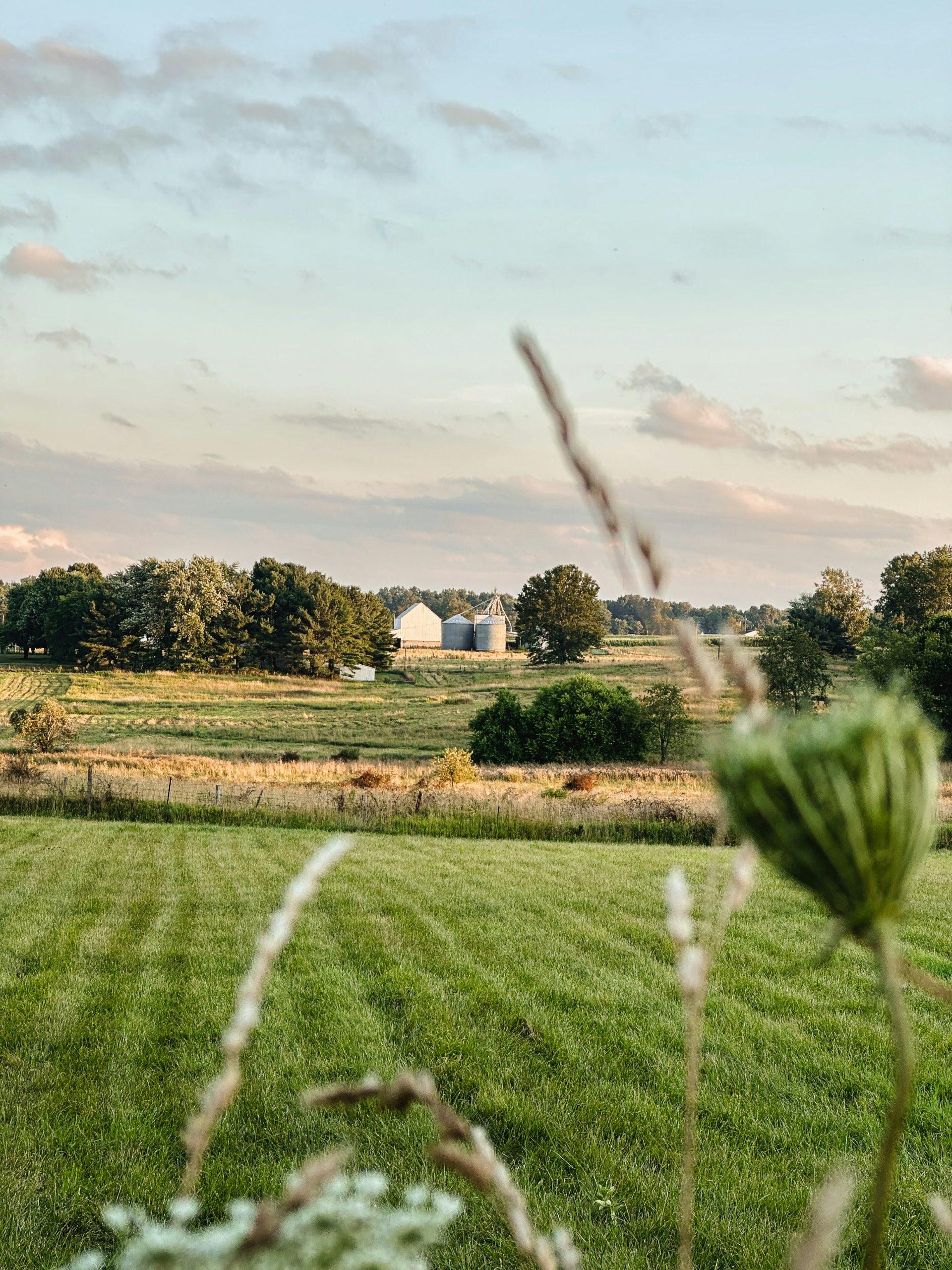 Rural voters know that ultra-millionaires and the elite political class are out of touch with their day-to-day lives