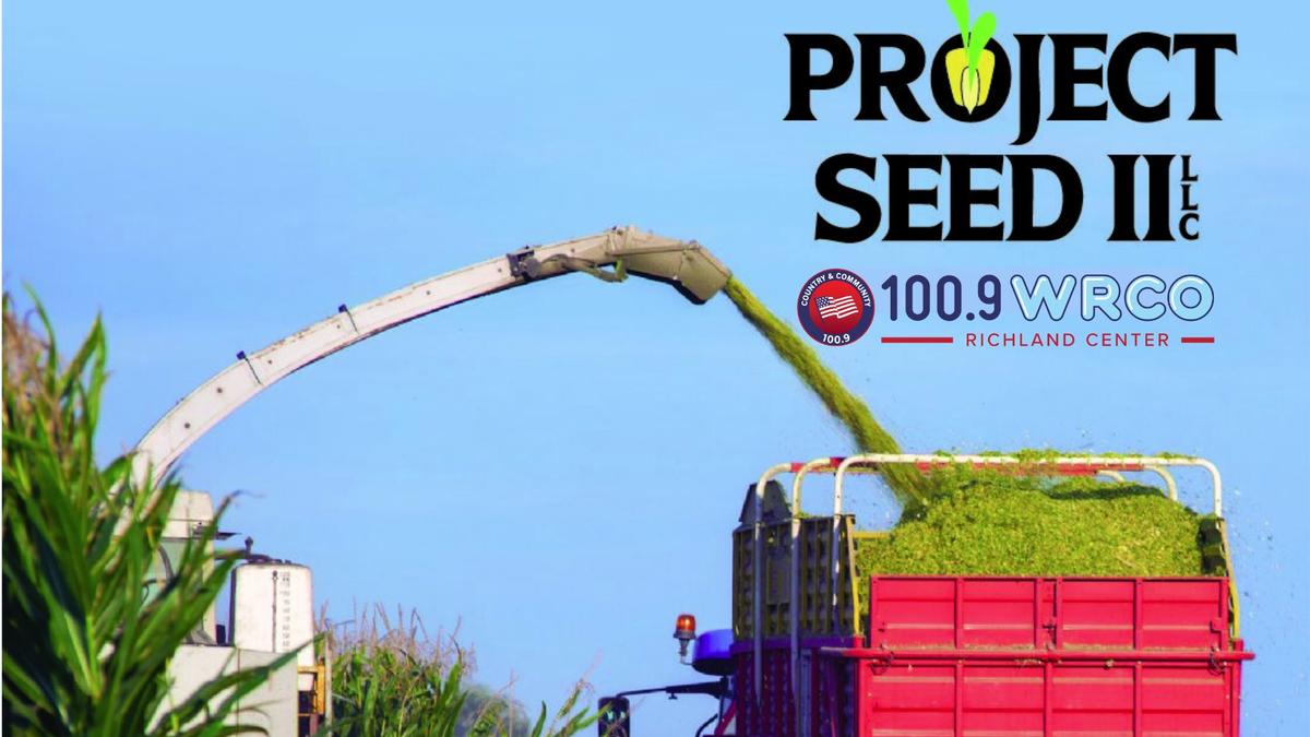 Project Seed returns again this year